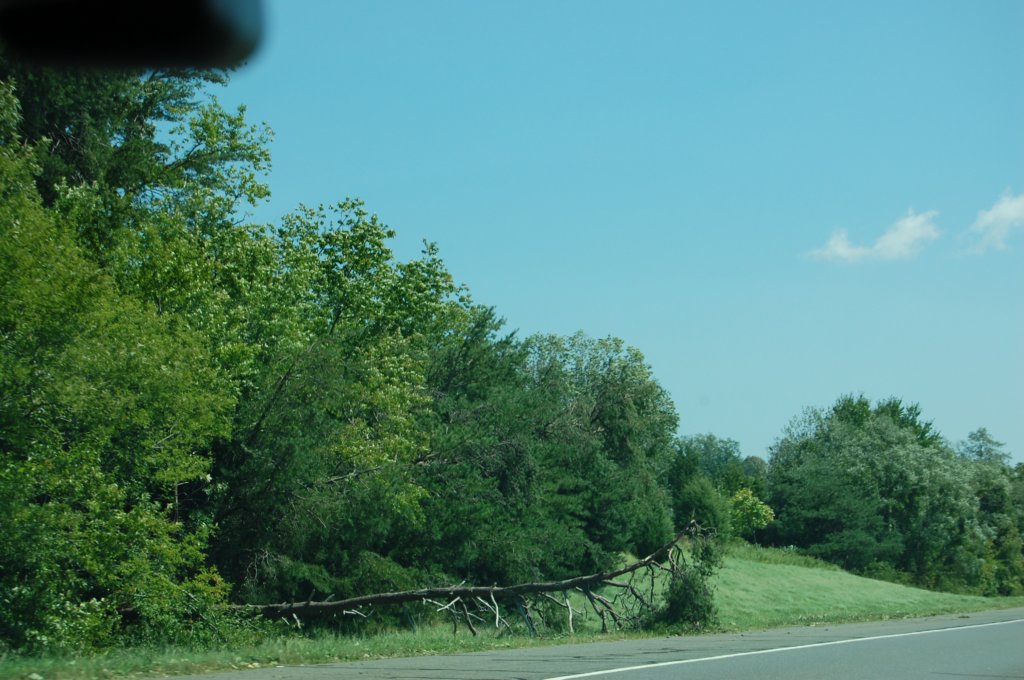 dsc_0952.jpg