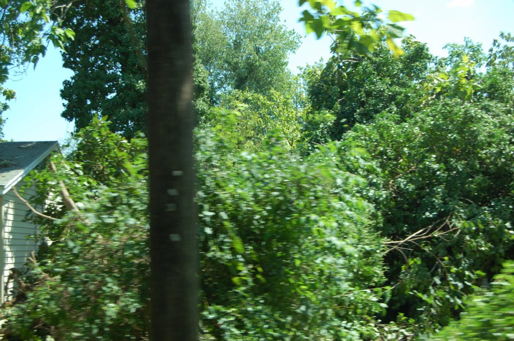 dsc_0961.jpg