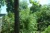 dsc_0961_small.jpg