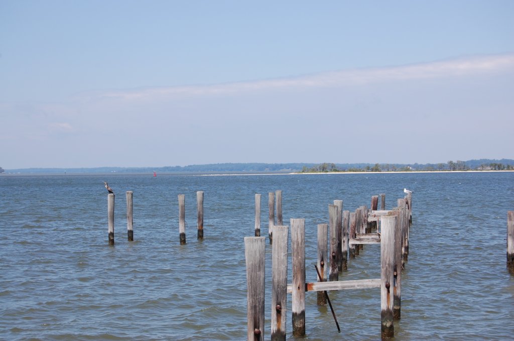 dsc_0966.jpg