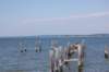 dsc_0967_small.jpg