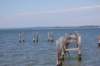 dsc_0971_small.jpg