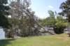 dsc_0984_small.jpg