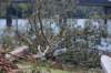 dsc_0988_small.jpg