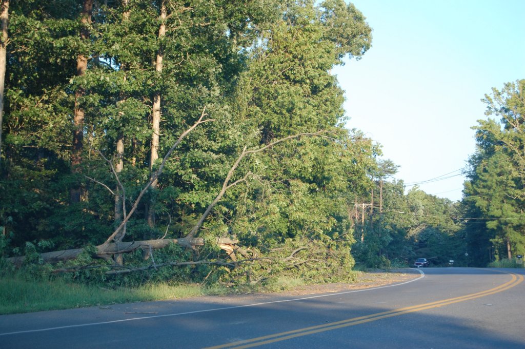 dsc_1027.jpg