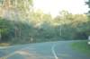dsc_1029_small.jpg