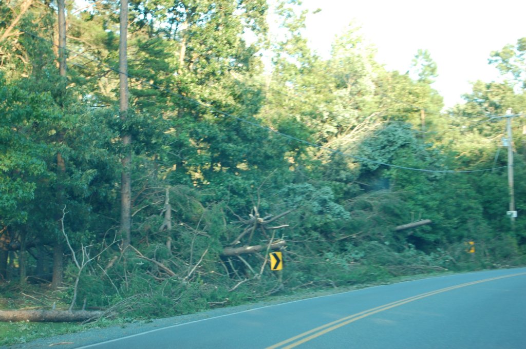 dsc_1030.jpg