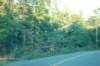 dsc_1030_small.jpg