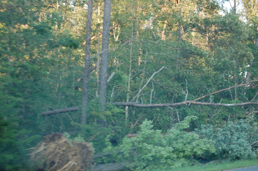 dsc_1037.jpg