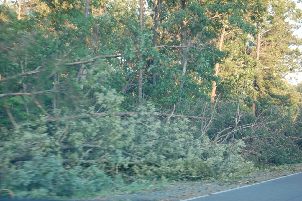 dsc_1038.jpg