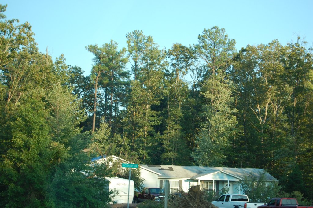 dsc_1044.jpg