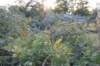 dsc_1054_small.jpg