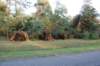 dsc_1057_small.jpg