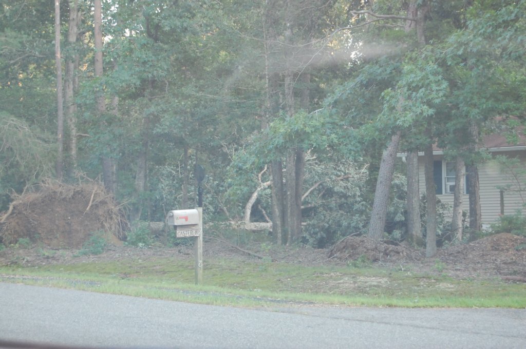 dsc_1075.jpg