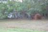 dsc_1077_small.jpg