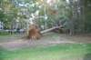 dsc_1083_small.jpg