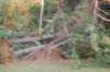 dsc_1094_small.jpg