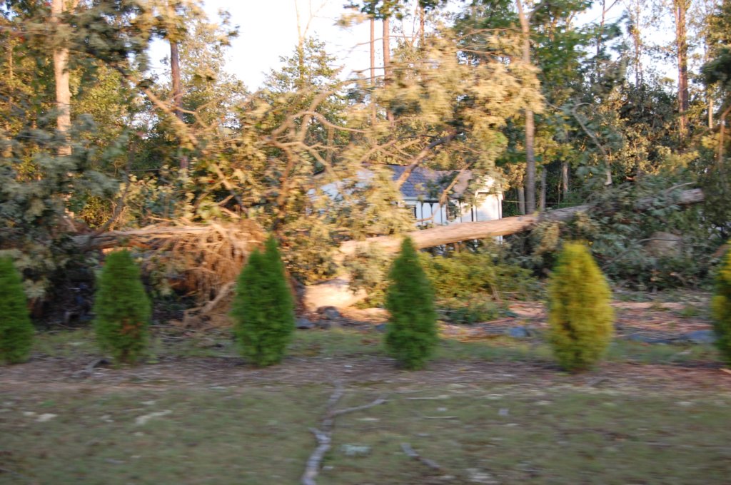 dsc_1096.jpg