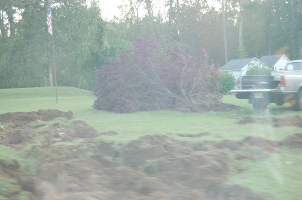 dsc_1098.jpg