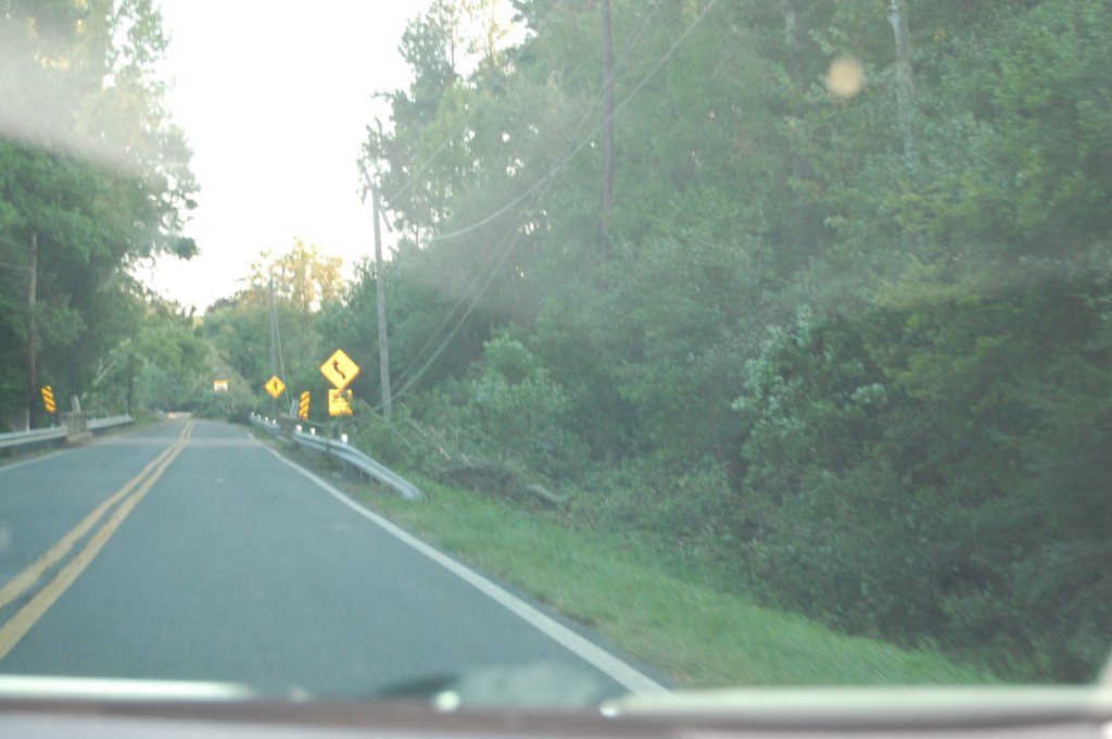 dsc_1103.jpg
