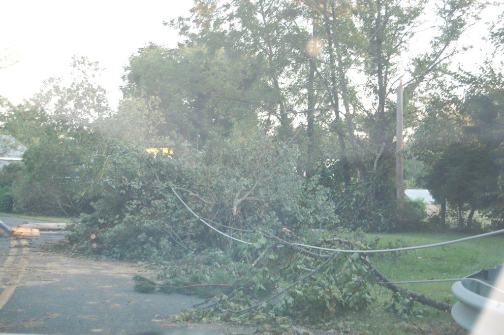 dsc_1107.jpg