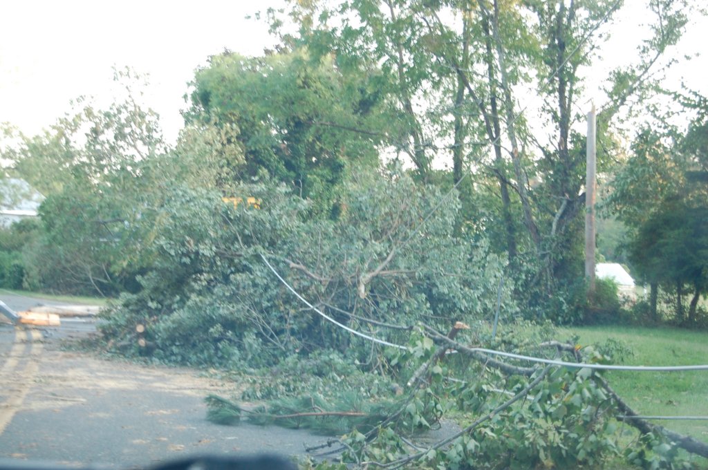 dsc_1108.jpg