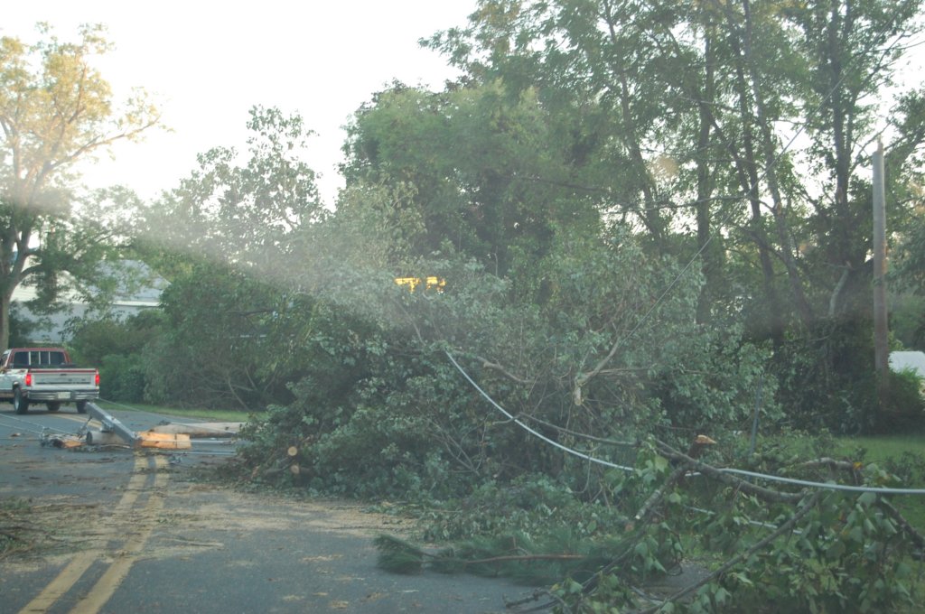 dsc_1110.jpg