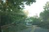 dsc_1114_small.jpg