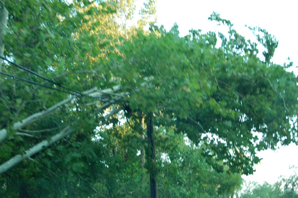 dsc_1115.jpg