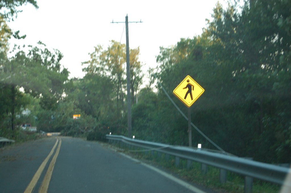 dsc_1119.jpg