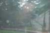 dsc_1124_small.jpg