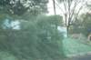 dsc_1130_small.jpg
