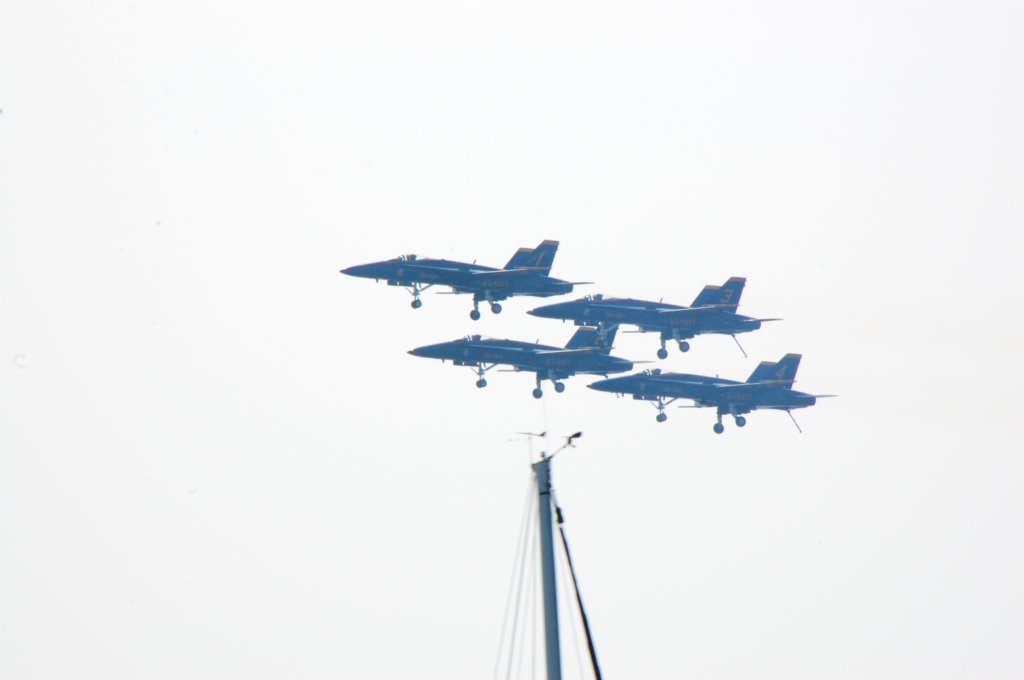 dsc_0116.jpg