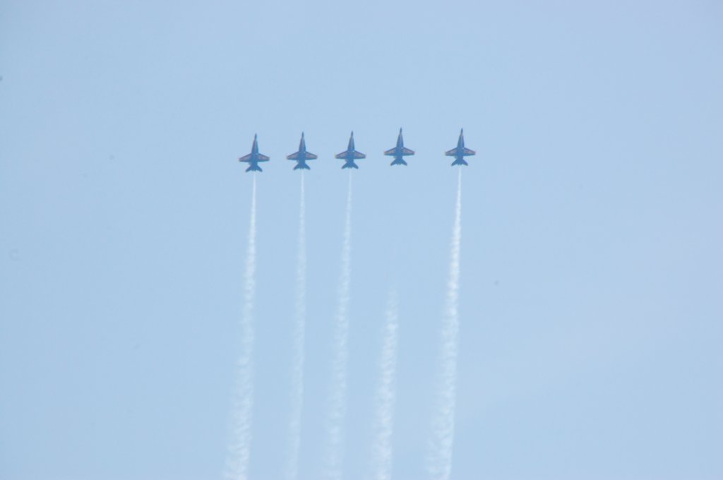 dsc_0176.jpg