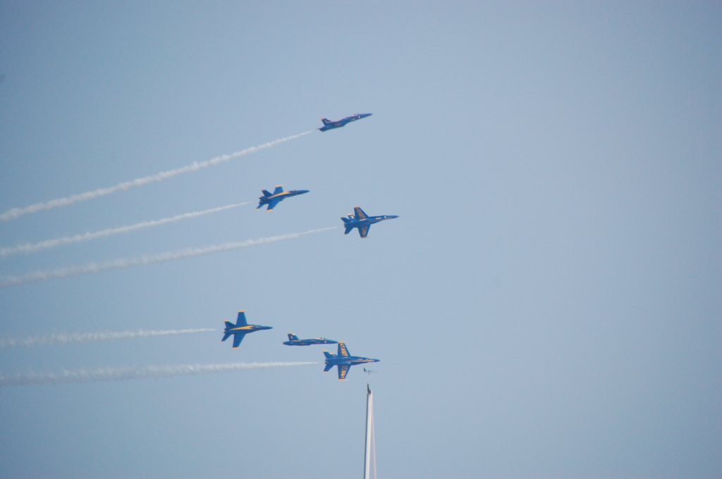 dsc_0231.jpg