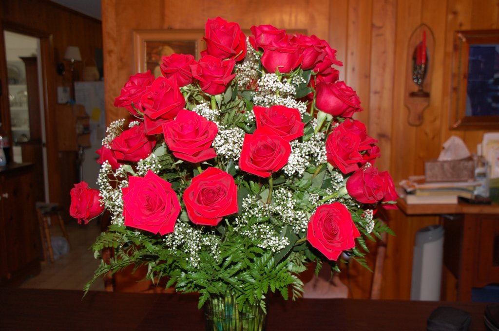 dsc_0483.jpg