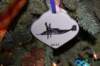 dsc_0970_small.jpg